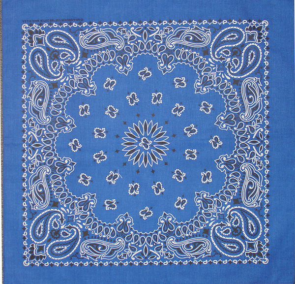 PAISLEY BANDANNA 22x22
