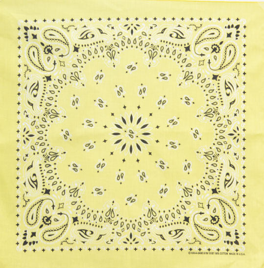PAISLEY BANDANNA 22x22