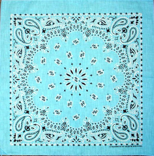 PAISLEY BANDANNA 22x22