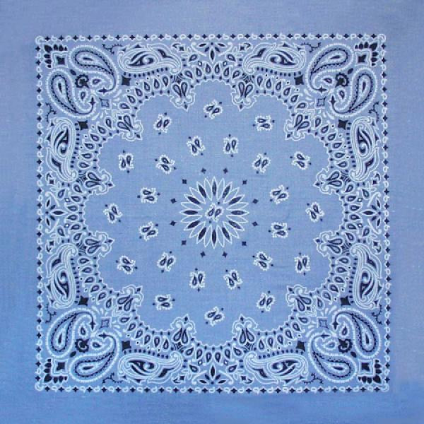 PAISLEY BANDANNA 22x22