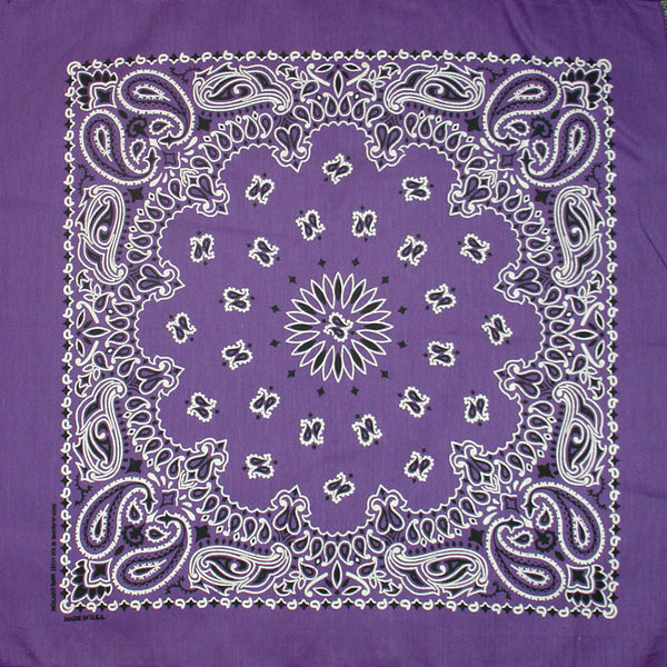 PAISLEY BANDANNA 22x22