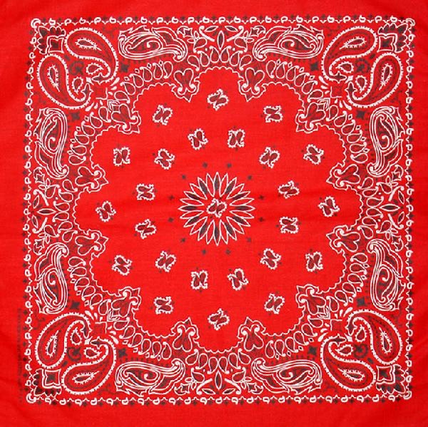 PAISLEY BANDANNA 22x22