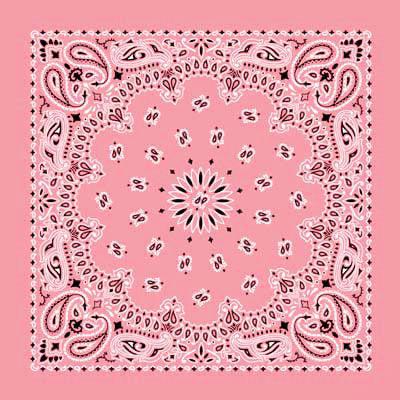 PAISLEY BANDANNA 22x22