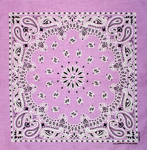 PAISLEY BANDANNA 22x22