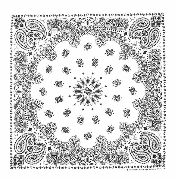 PAISLEY BANDANNA 22x22